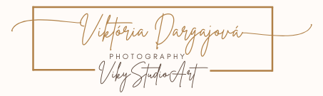 Vikystudio.art
